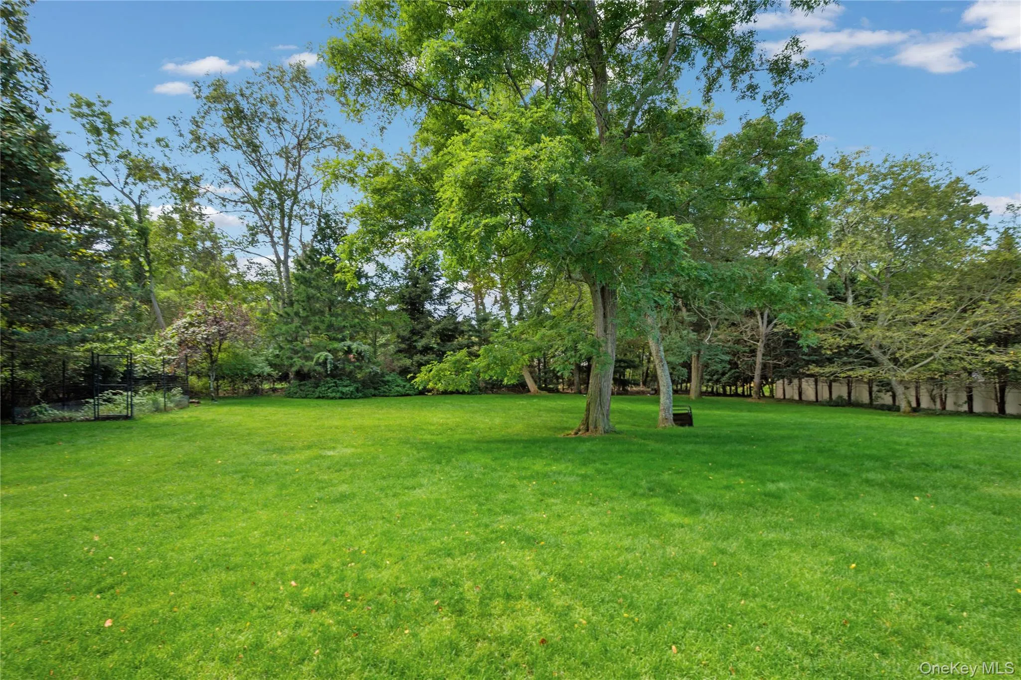 View of yard with view of wooded area View of yard with view of wooded area