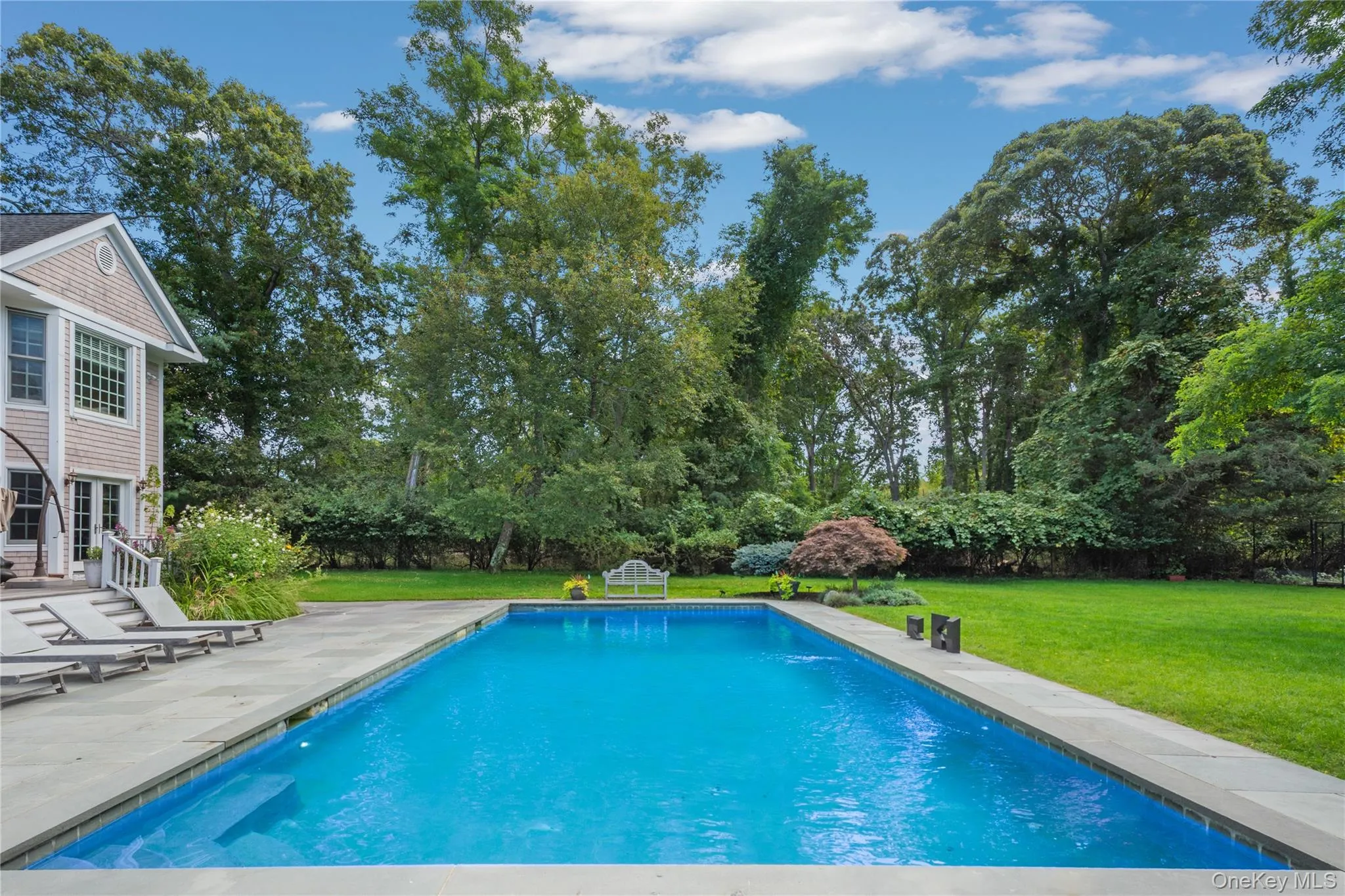 Swimming pool featuring a yard, a patio, and view of wooded area Swimming pool featuring a yard, a patio, and view of wooded area