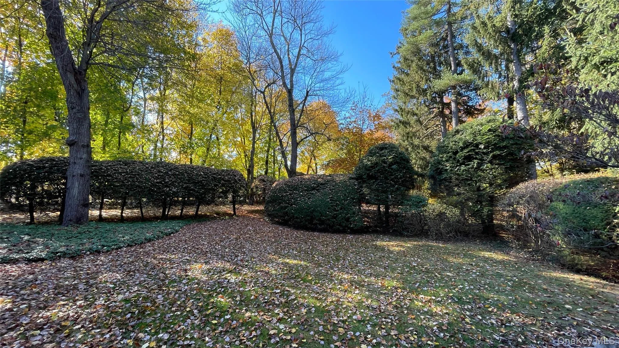 View of yard View of yard