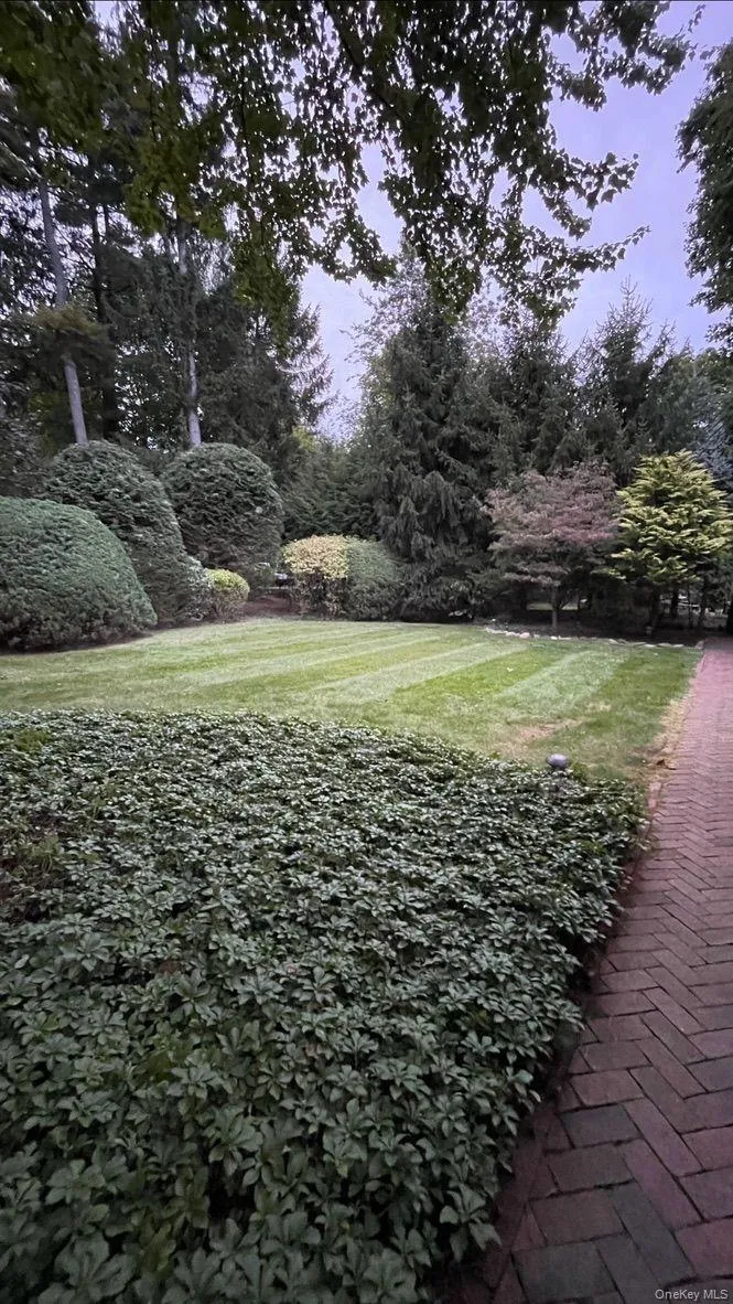 View of green lawn featuring view of wooded area View of green lawn featuring view of wooded area