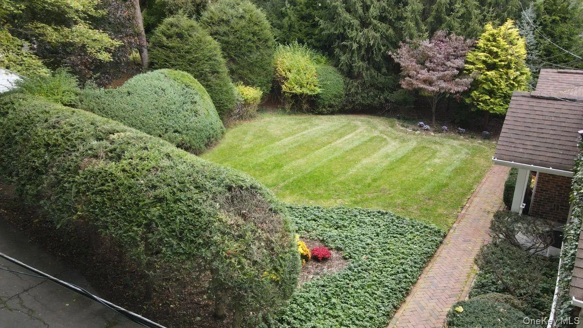 View of green lawn View of green lawn