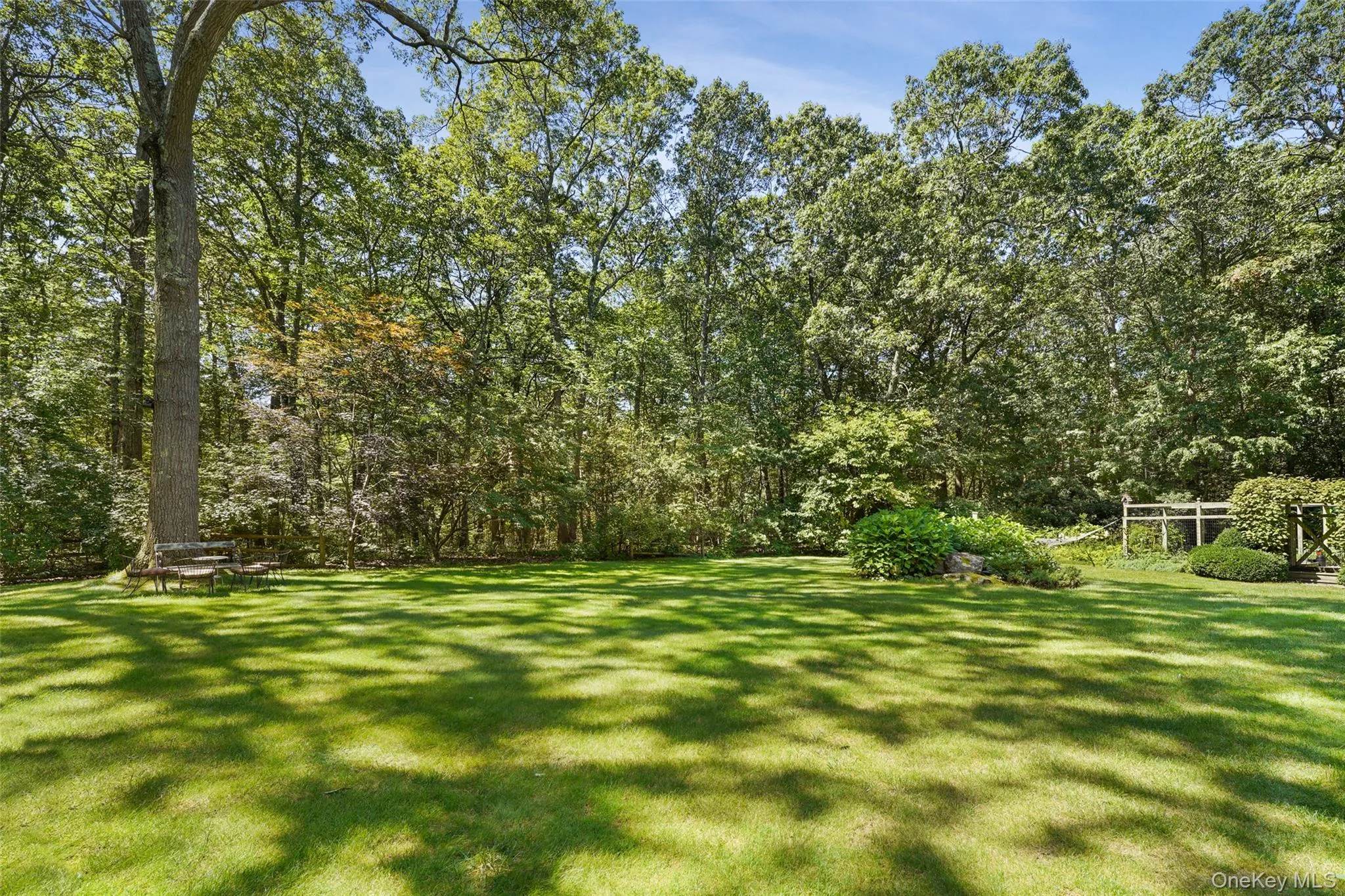 View of yard View of yard