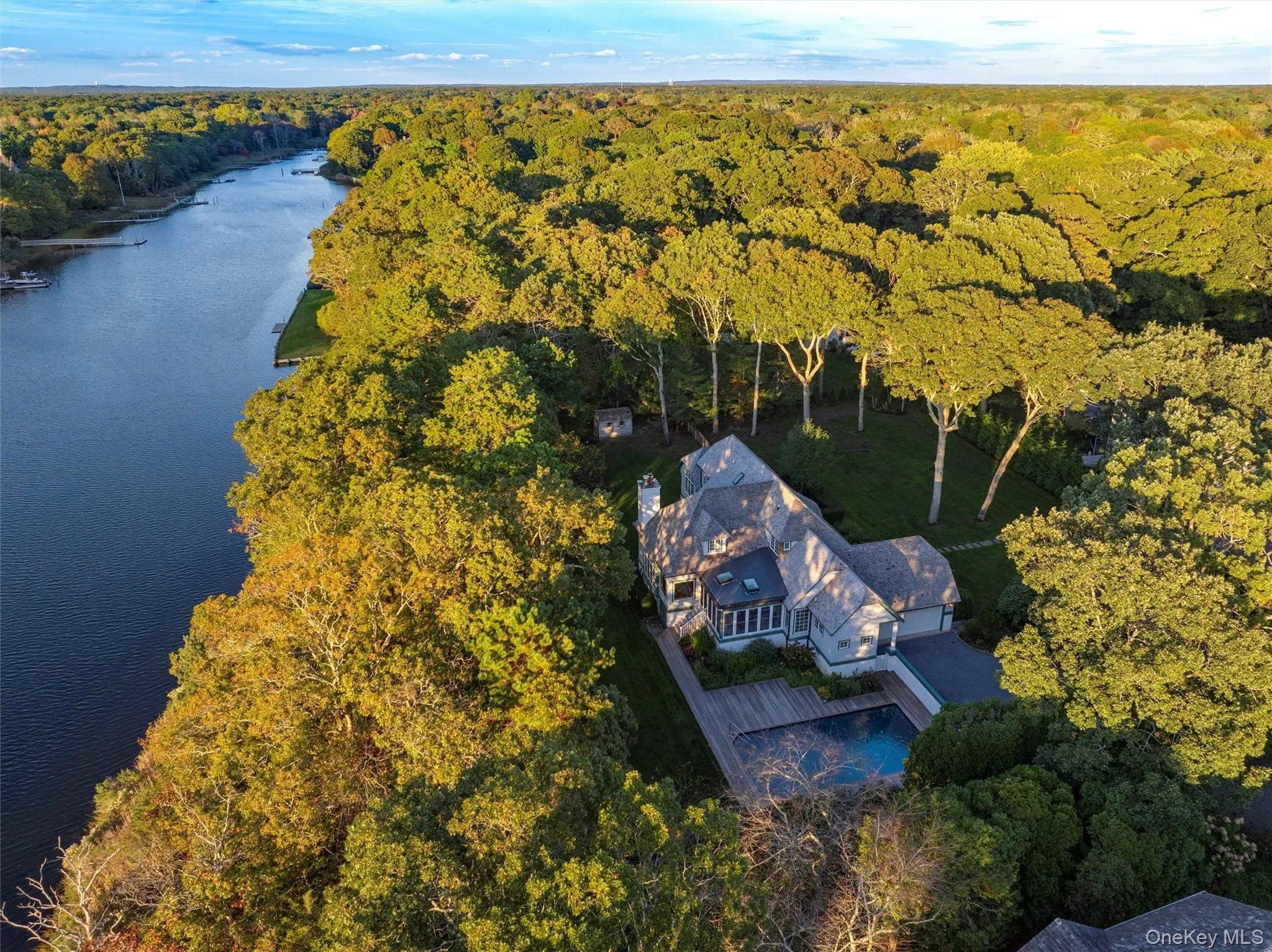 Aerial view of a forest and a large body of water Aerial view of a forest and a large body of water