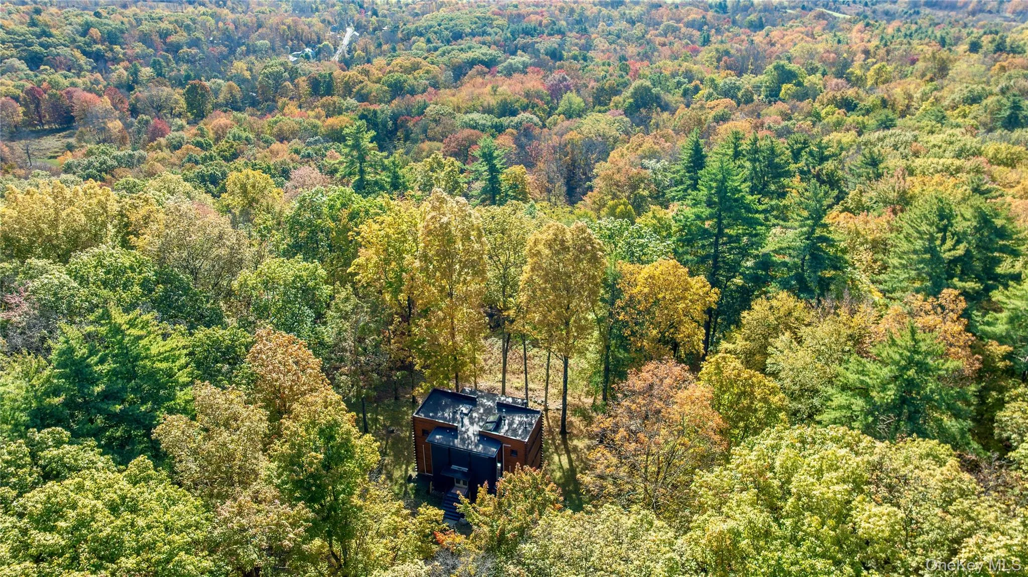 Drone / aerial view of a forest Drone / aerial view of a forest