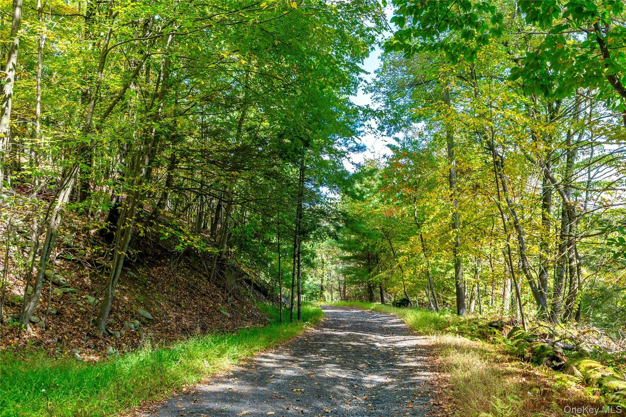View of road with a wooded view View of road with a wooded view