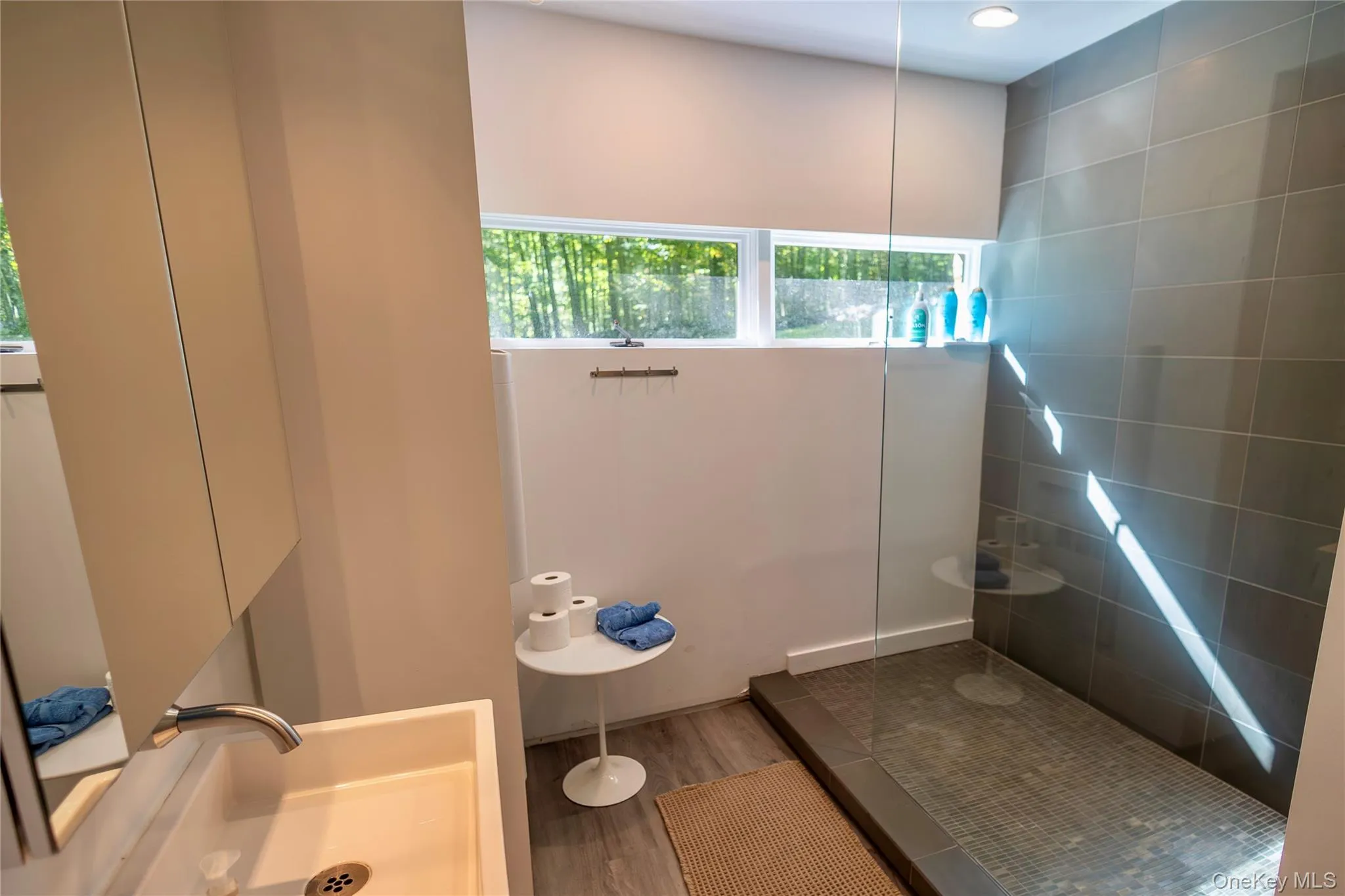 Bathroom with a walk in shower, wood finished floors, and vanity Bathroom with a walk in shower, wood finished floors, and vanity