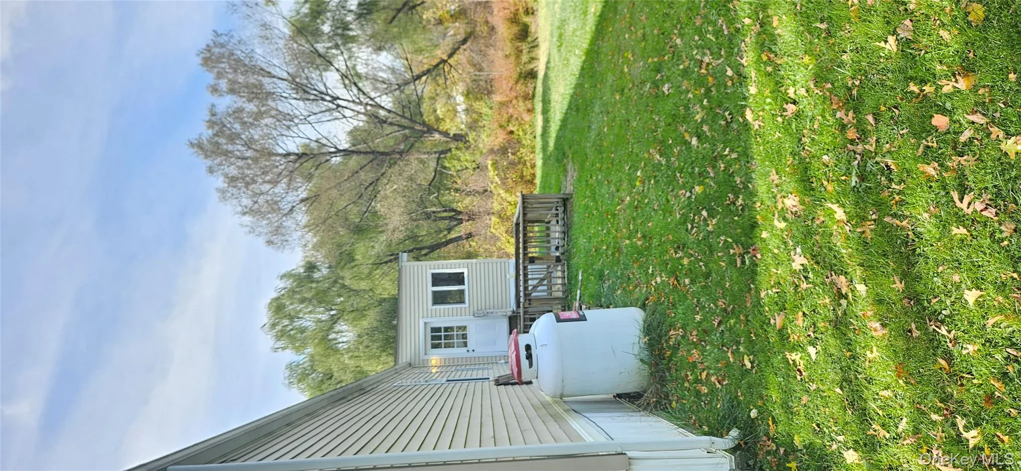 View of green lawn View of green lawn