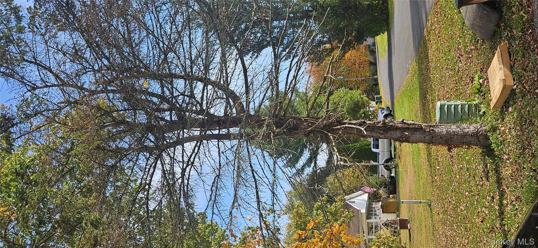 View of green lawn View of green lawn