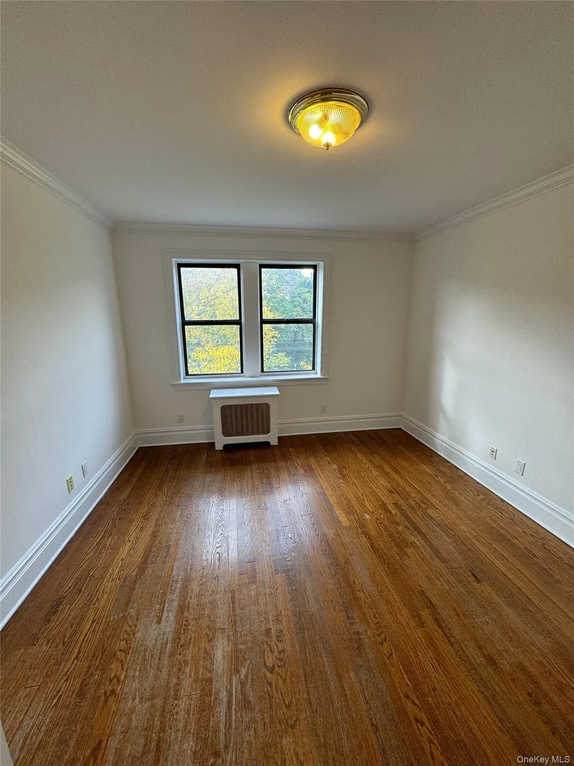 Unfurnished room featuring ornamental molding, dark wood-style flooring, and radiator Unfurnished room featuring ornamental molding, dark wood-style flooring, and radiator