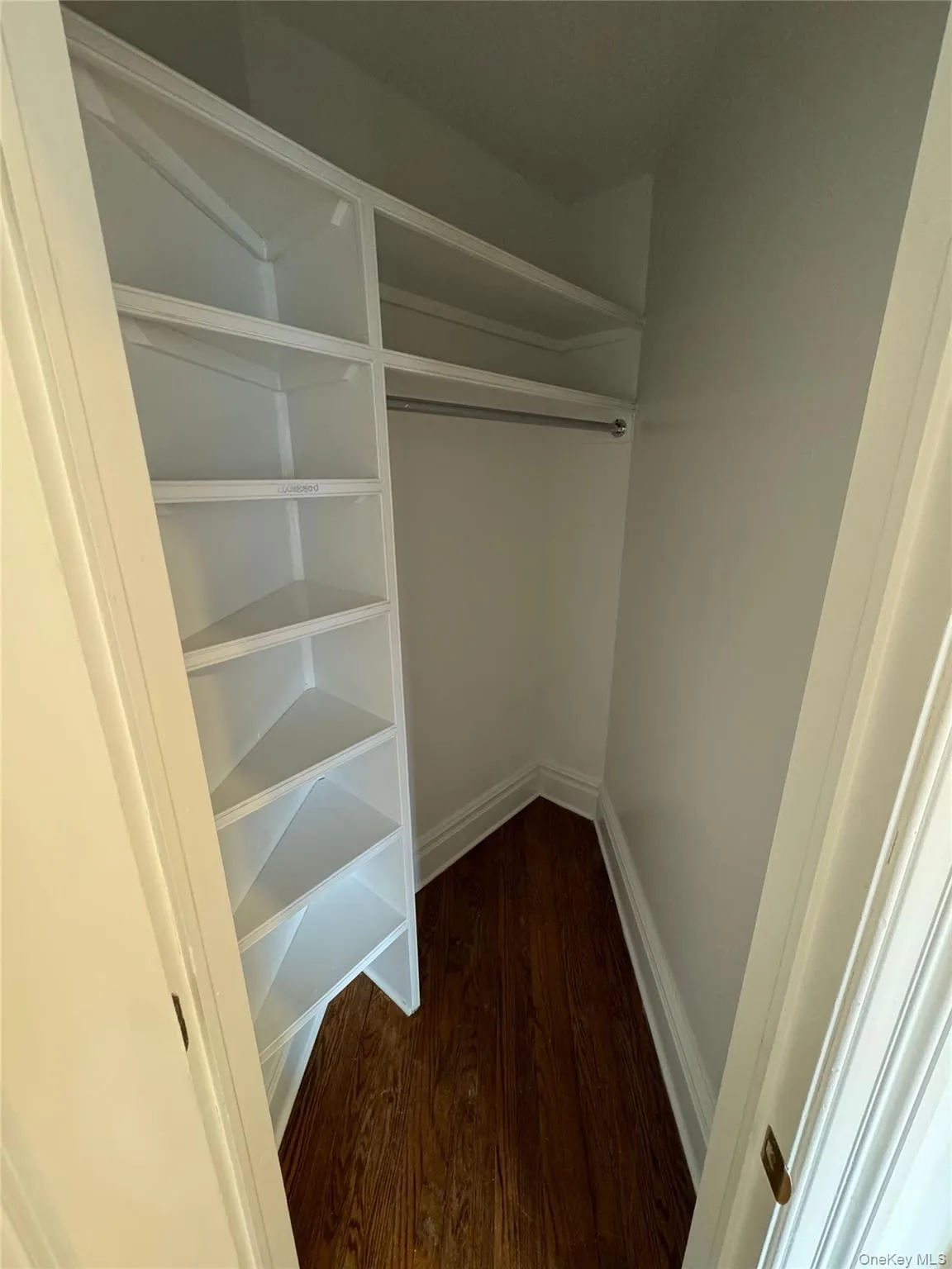 Spacious closet featuring dark wood-style flooring Spacious closet featuring dark wood-style flooring