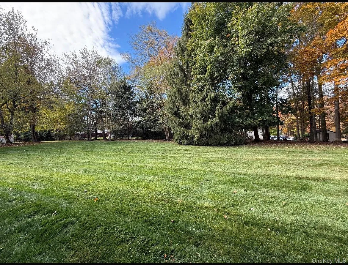 View of grassy yard with view of scattered trees View of grassy yard with view of scattered trees