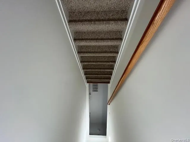 Staircase featuring carpet flooring Staircase featuring carpet flooring