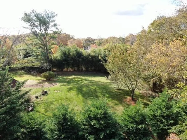 View of green lawn featuring a forest view View of green lawn featuring a forest view