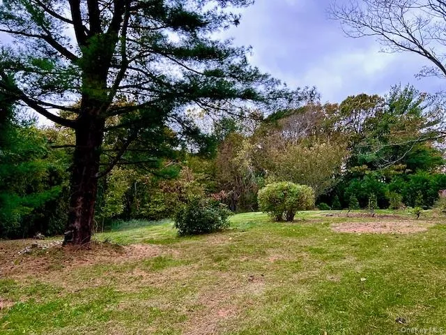 View of green lawn View of green lawn