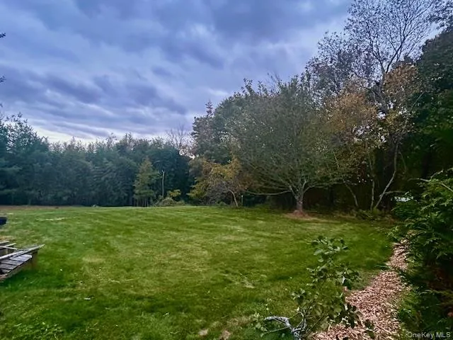 View of grassy yard with a view of trees View of grassy yard with a view of trees