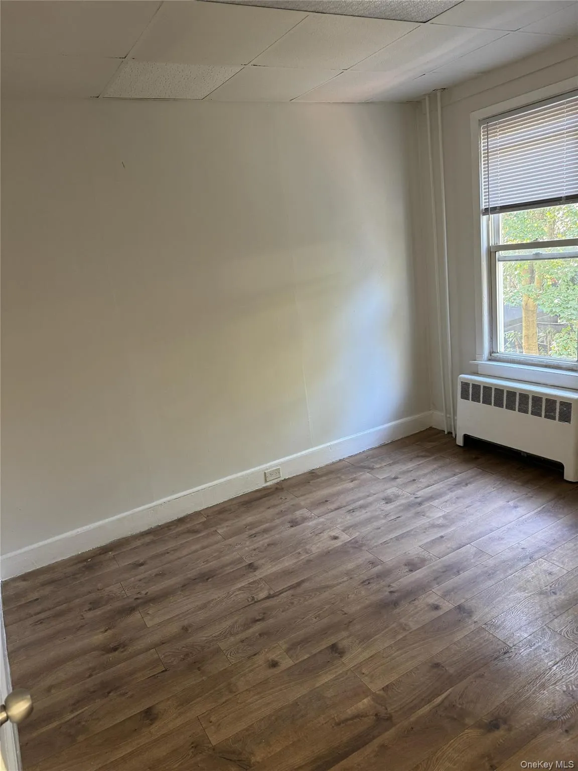 Empty room featuring radiator, wood finished floors, and a paneled ceiling Empty room featuring radiator, wood finished floors, and a paneled ceiling