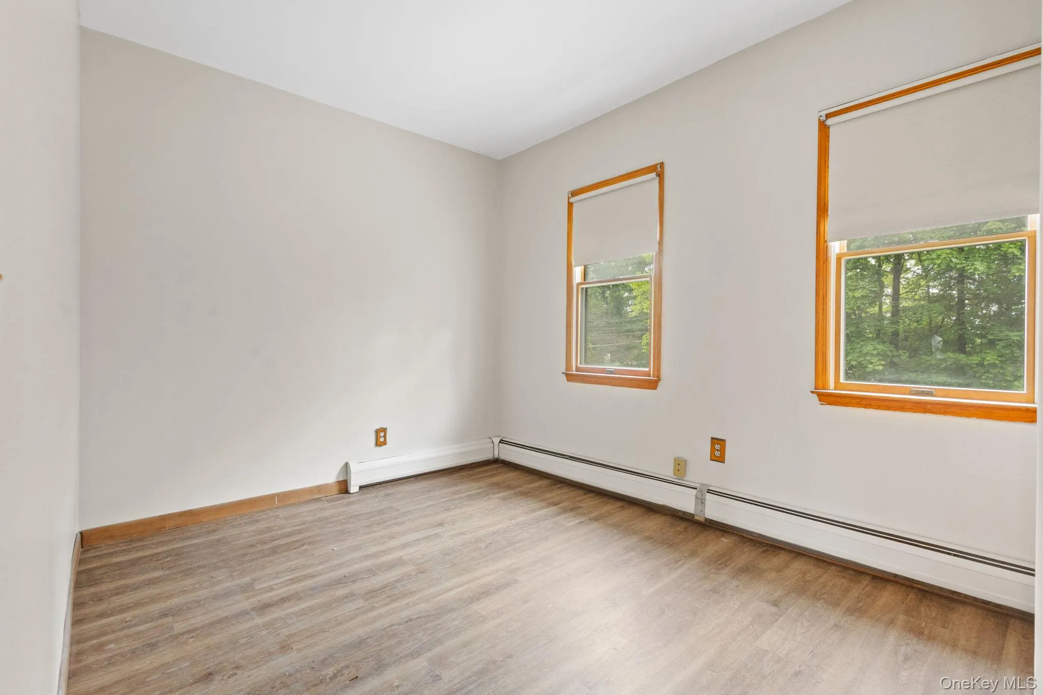 Spare room featuring wood finished floors, a baseboard radiator, and baseboards Spare room featuring wood finished floors, a baseboard radiator, and baseboards