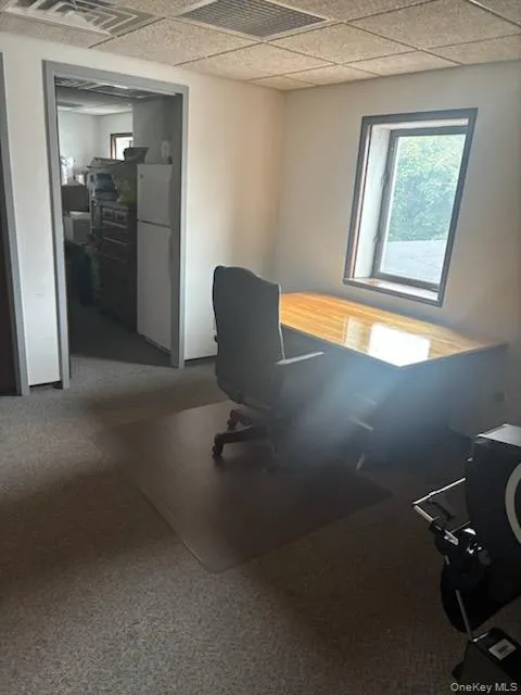 Carpeted office featuring a paneled ceiling Carpeted office featuring a paneled ceiling