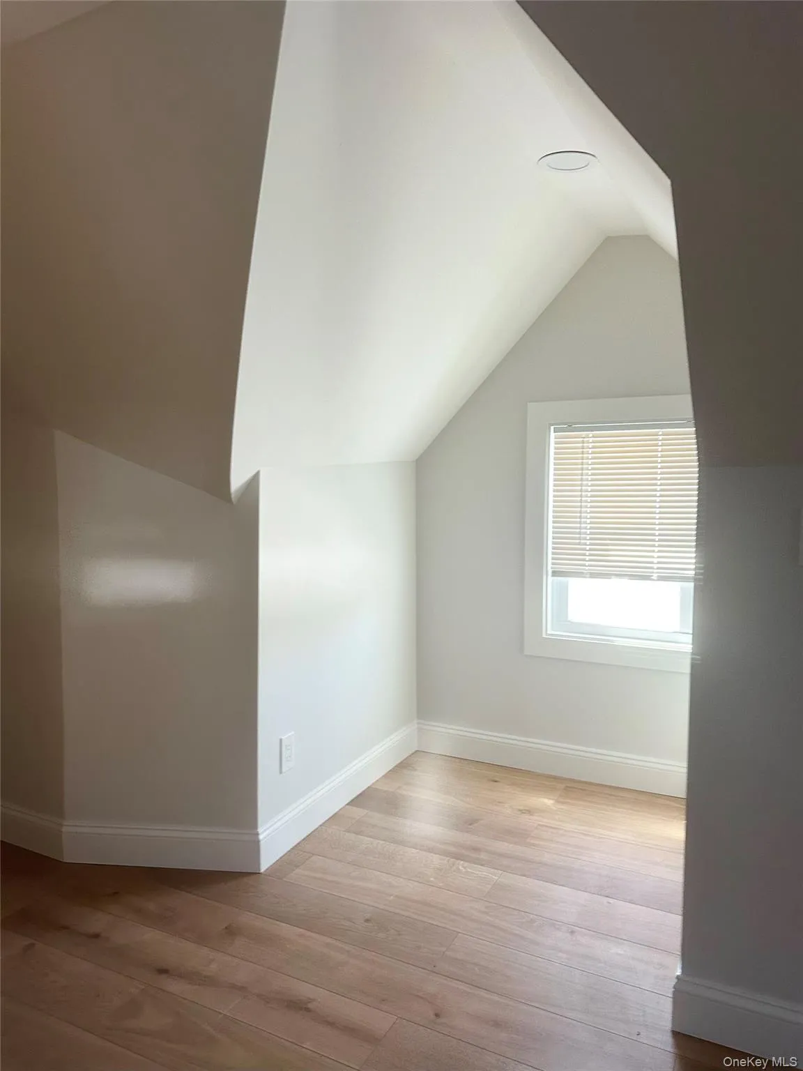 Additional living space featuring lofted ceiling and light wood finished floors Additional living space featuring lofted ceiling and light wood finished floors