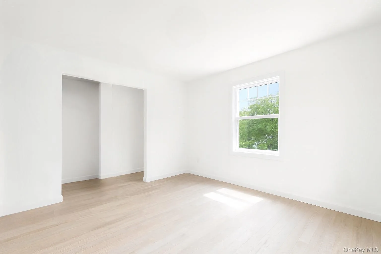 Unfurnished bedroom featuring light wood-style floors and a closet Unfurnished bedroom featuring light wood-style floors and a closet