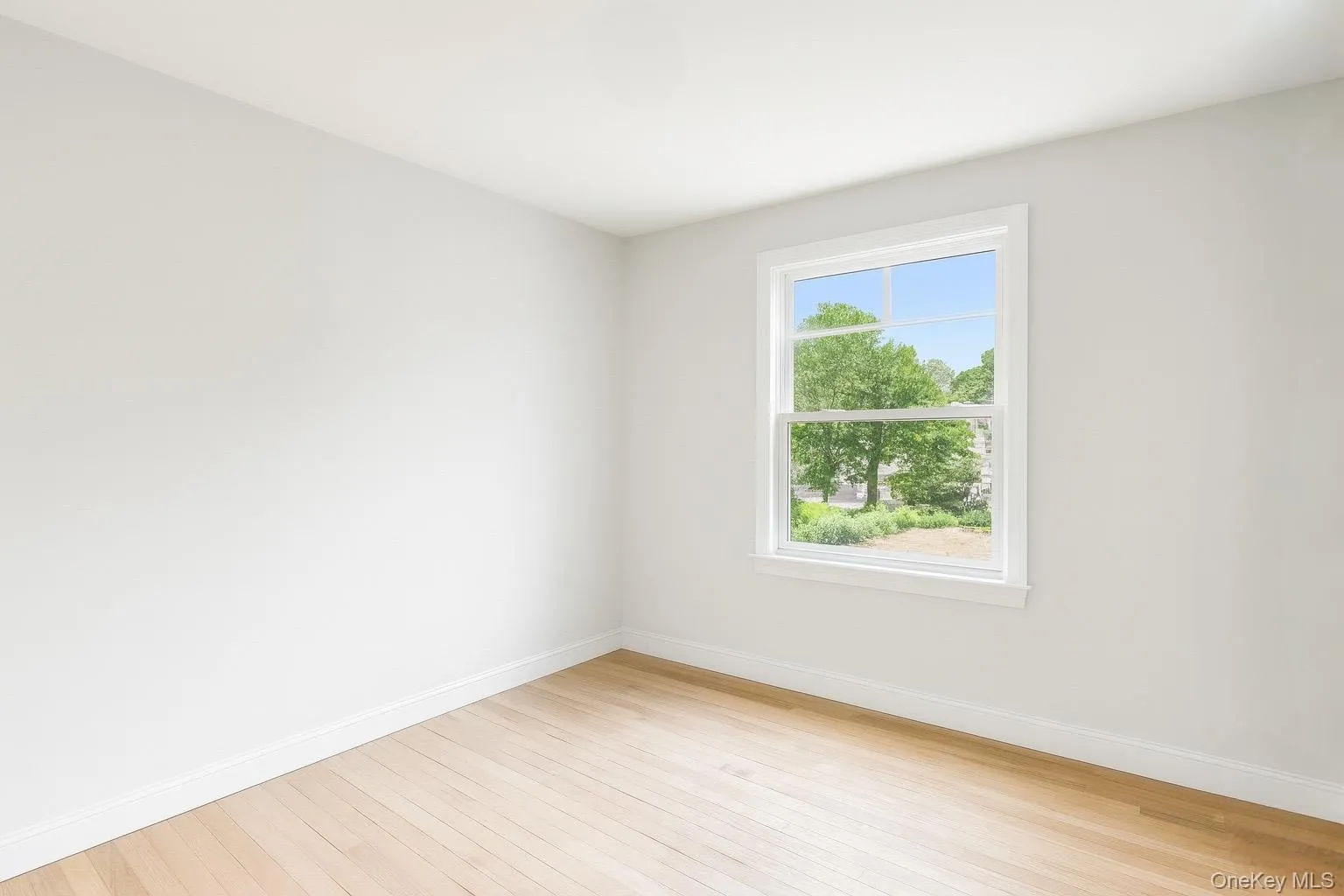 Spare room with baseboards and light wood finished floors Spare room with baseboards and light wood finished floors