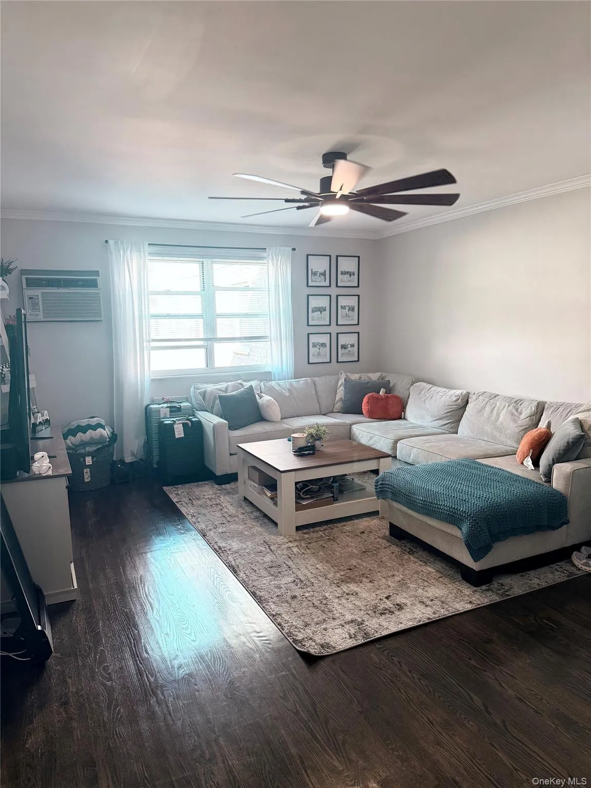 Living room featuring crown molding, dark wood-style floors, a ceiling fan, and a wall unit AC Living room featuring crown molding, dark wood-style floors, a ceiling fan, and a wall unit AC