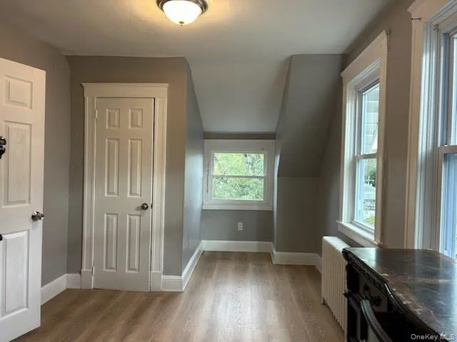 Additional living space with light wood-type flooring, radiator, and vaulted ceiling Additional living space with light wood-type flooring, radiator, and vaulted ceiling