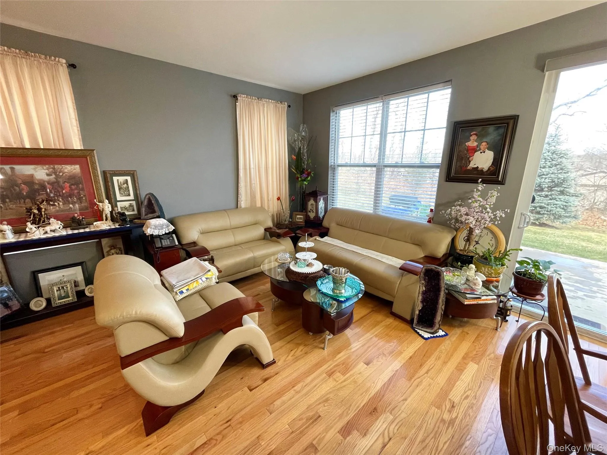Living room featuring wood finished floors Living room featuring wood finished floors
