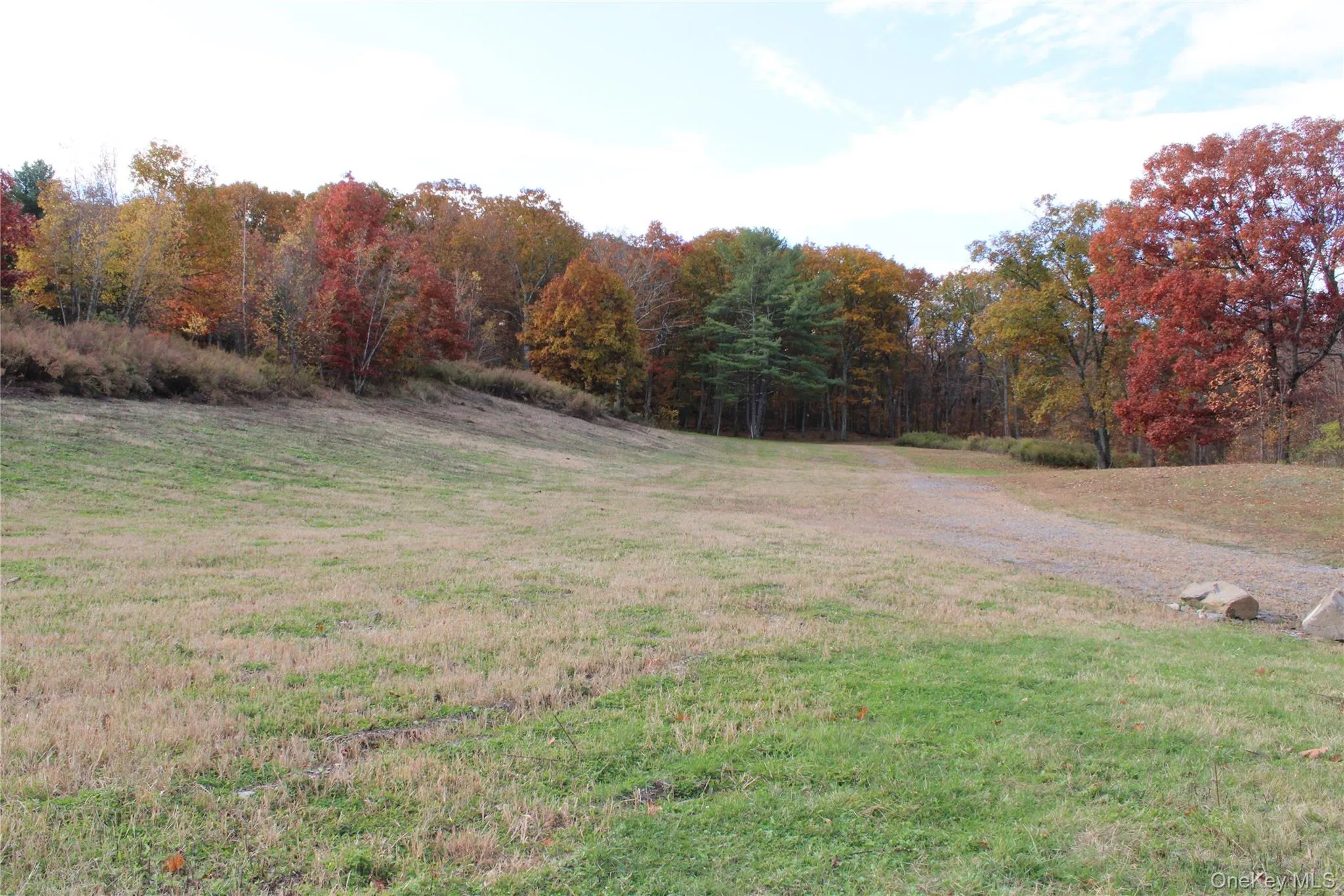 View of green lawn featuring a wooded view View of green lawn featuring a wooded view