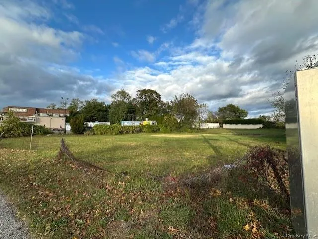 View of grassy yard View of grassy yard