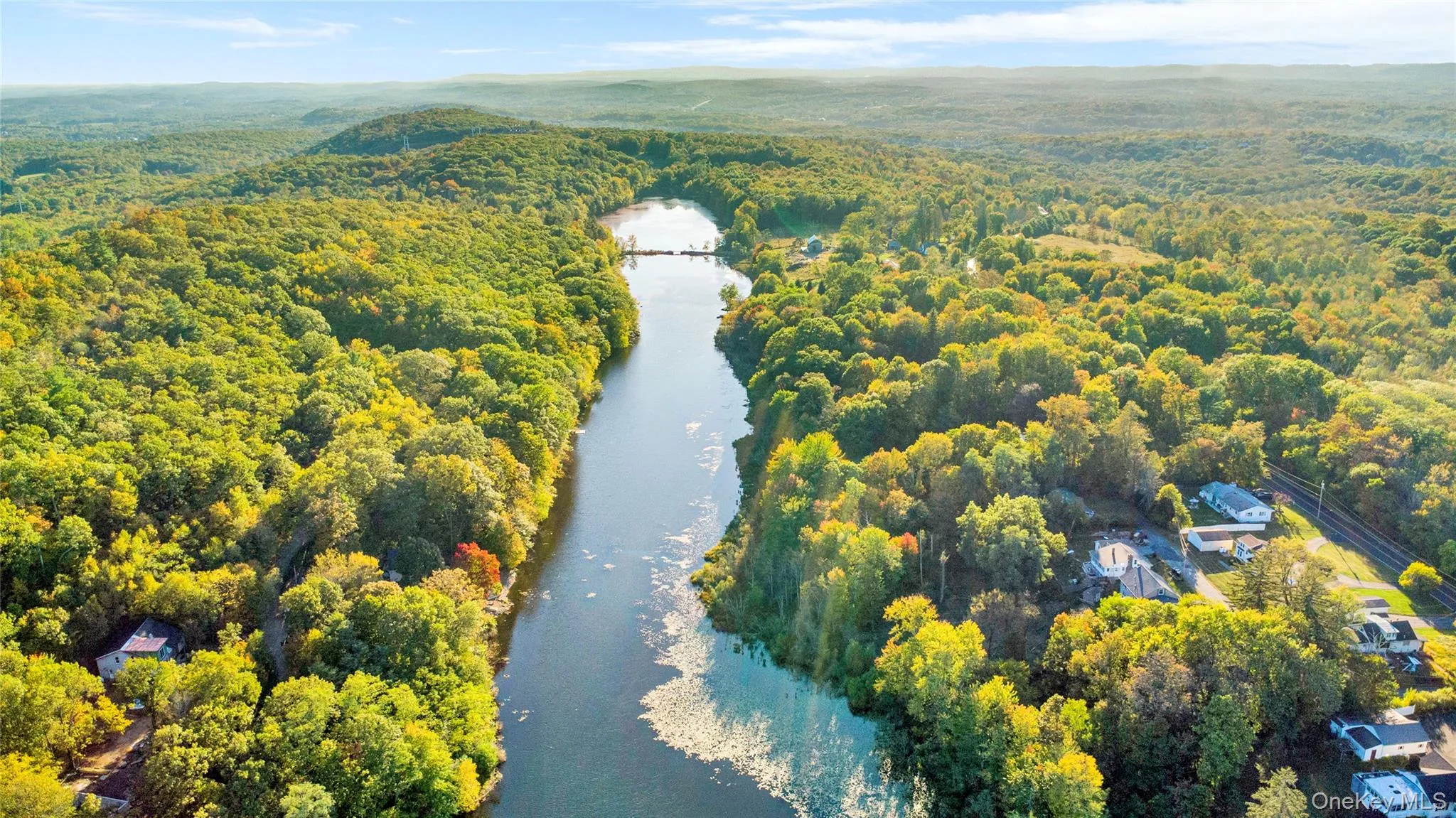 Aerial view of a nearby body of water and a forest Aerial view of a nearby body of water and a forest