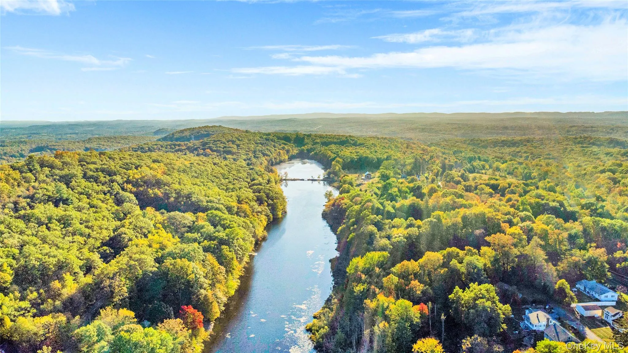 Drone / aerial view of a large body of water and a forest Drone / aerial view of a large body of water and a forest