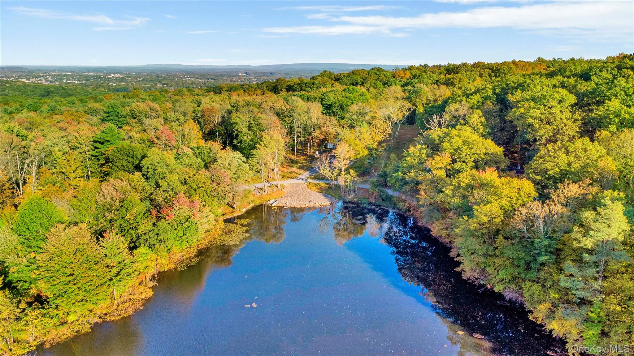 Drone / aerial view of a forest and a nearby body of water Drone / aerial view of a forest and a nearby body of water