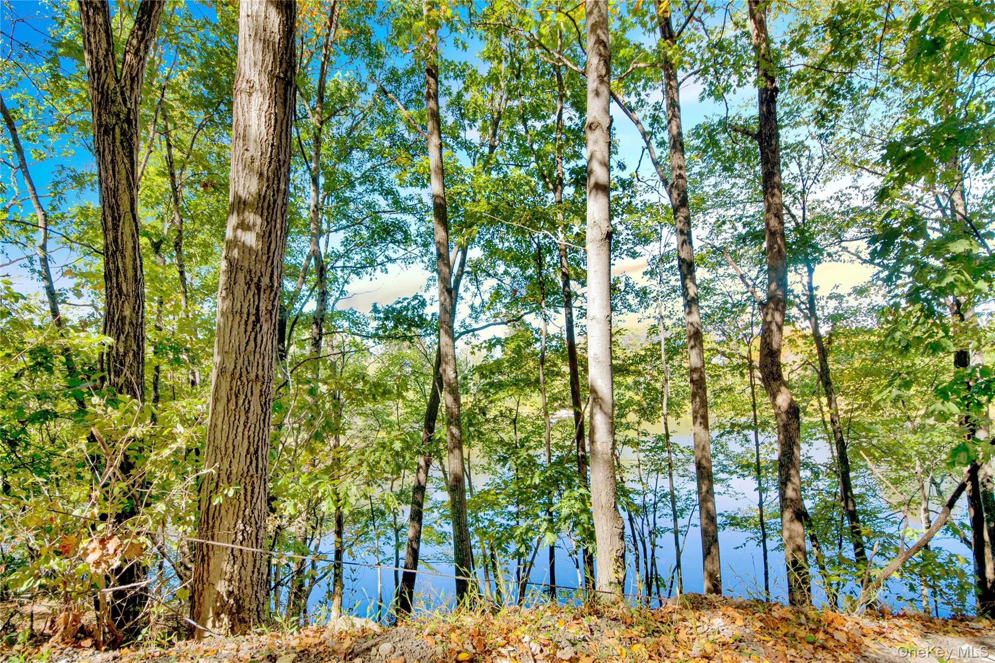 Water view Water view