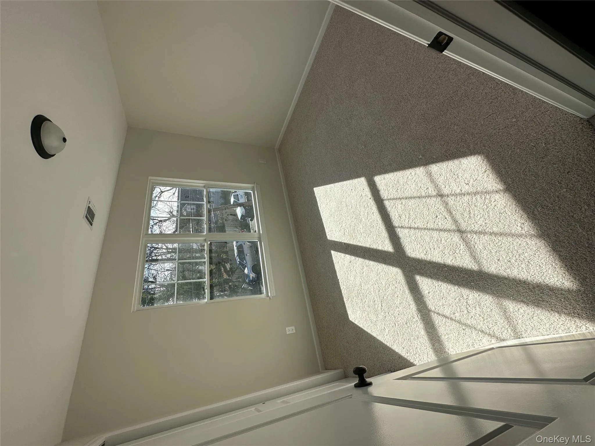 Spare room featuring carpet and baseboards Spare room featuring carpet and baseboards