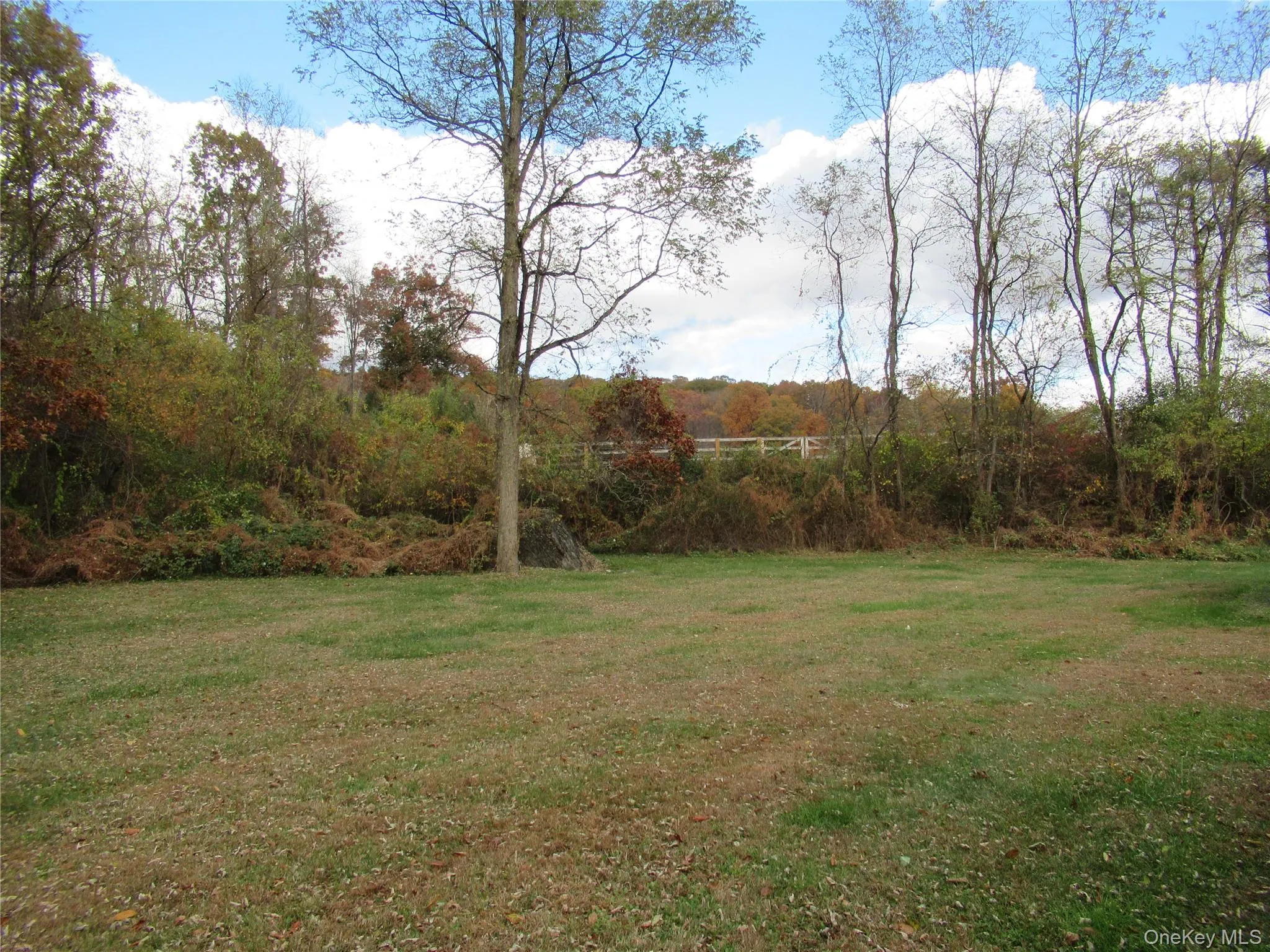 View of grassy side yard View of grassy side yard