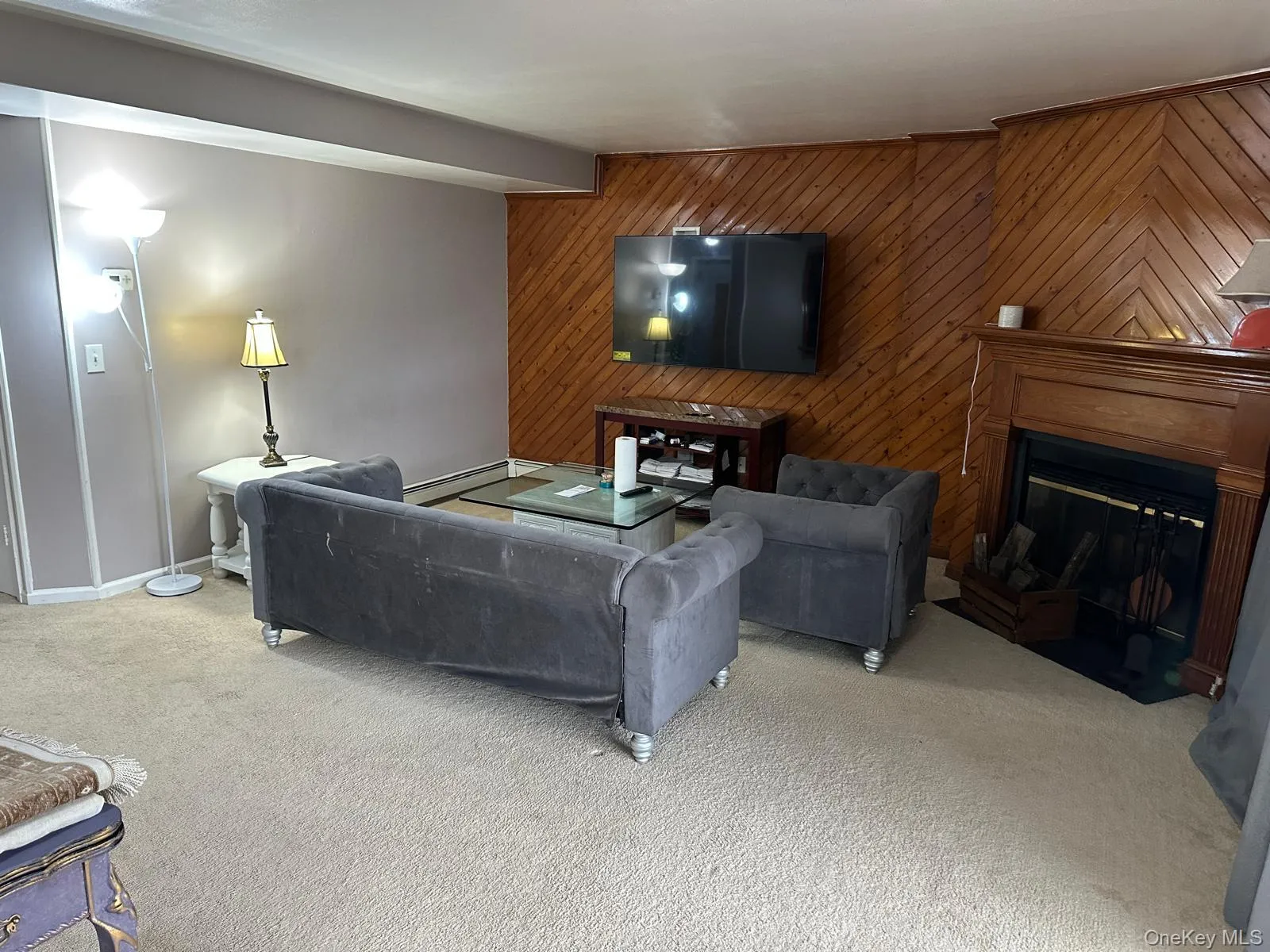 Carpeted living area featuring wood walls and a glass covered fireplace Carpeted living area featuring wood walls and a glass covered fireplace