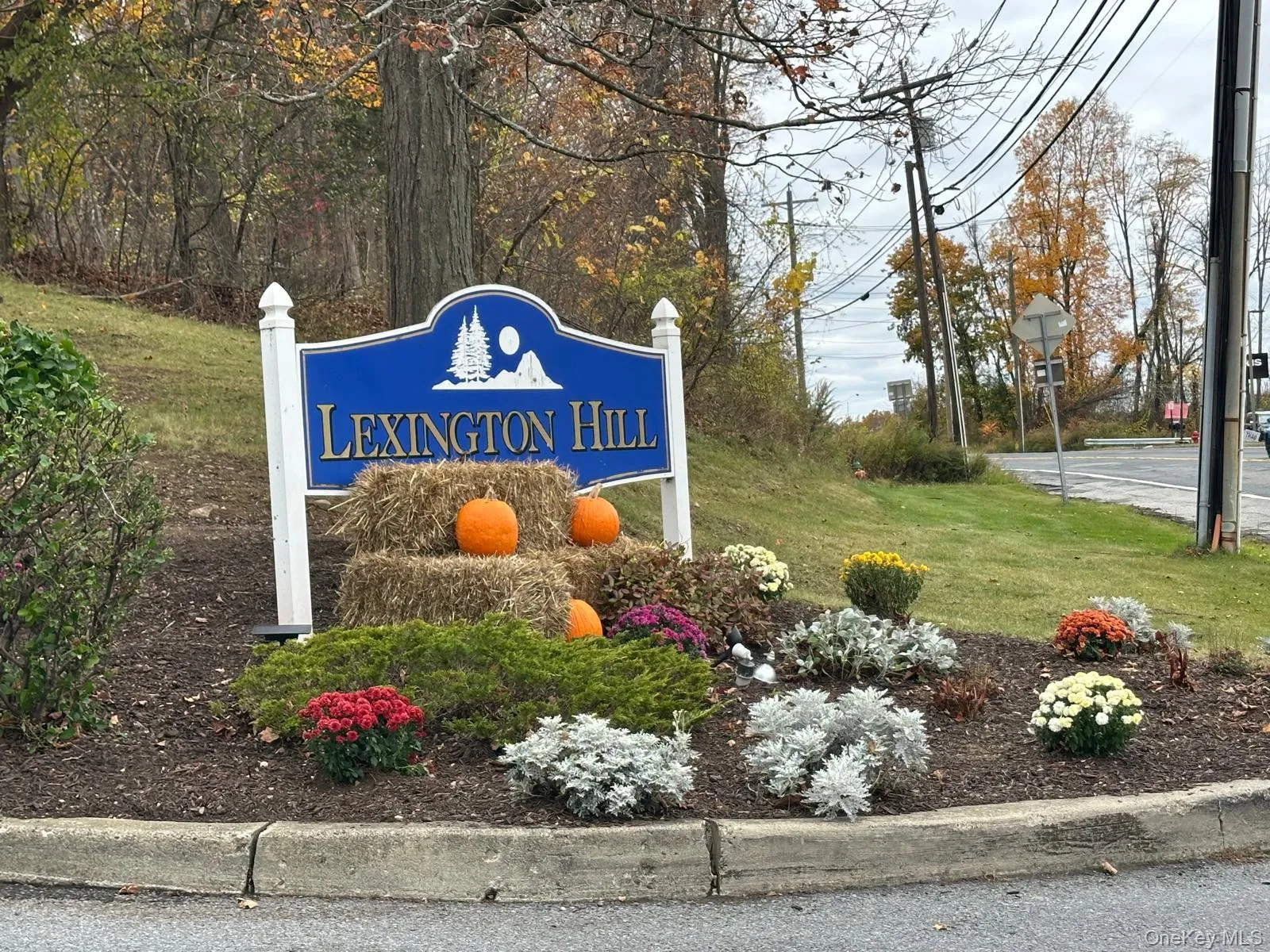 Community / neighborhood sign featuring a lawn Community / neighborhood sign featuring a lawn