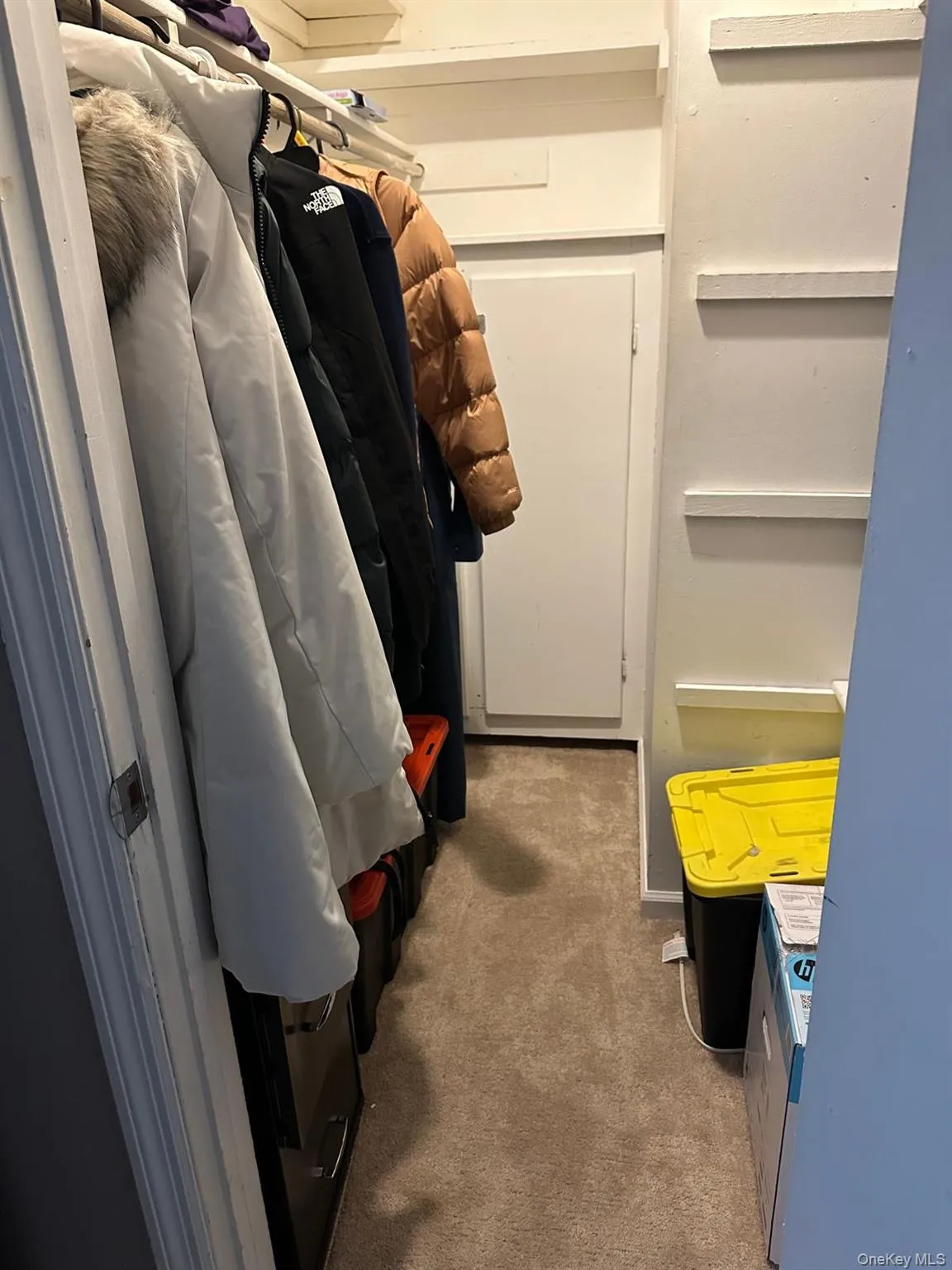 Walk in closet with light carpet Walk in closet with light carpet