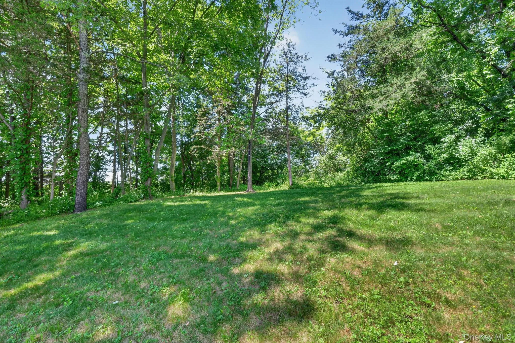 Backyard Backyard