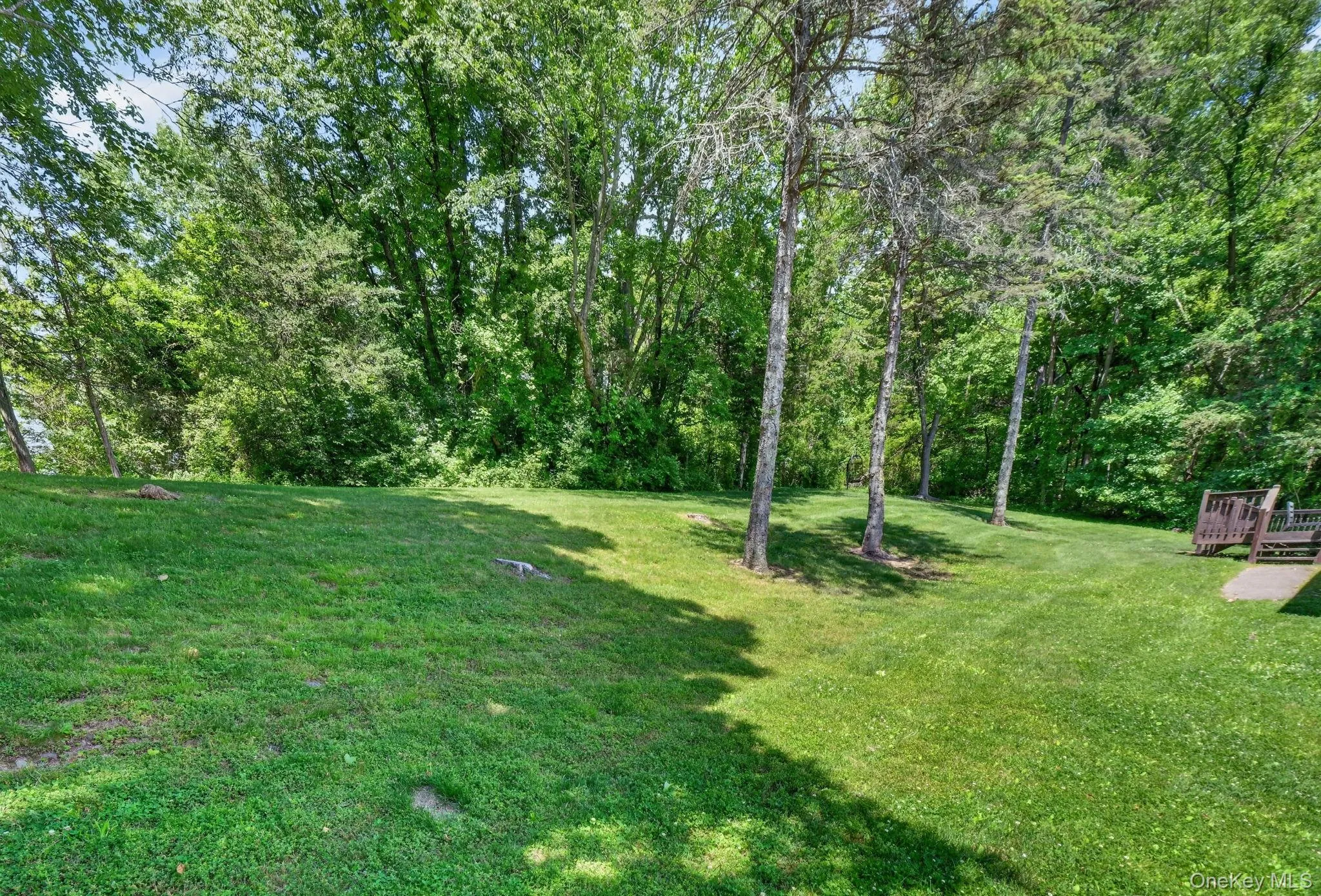 Backyard Backyard