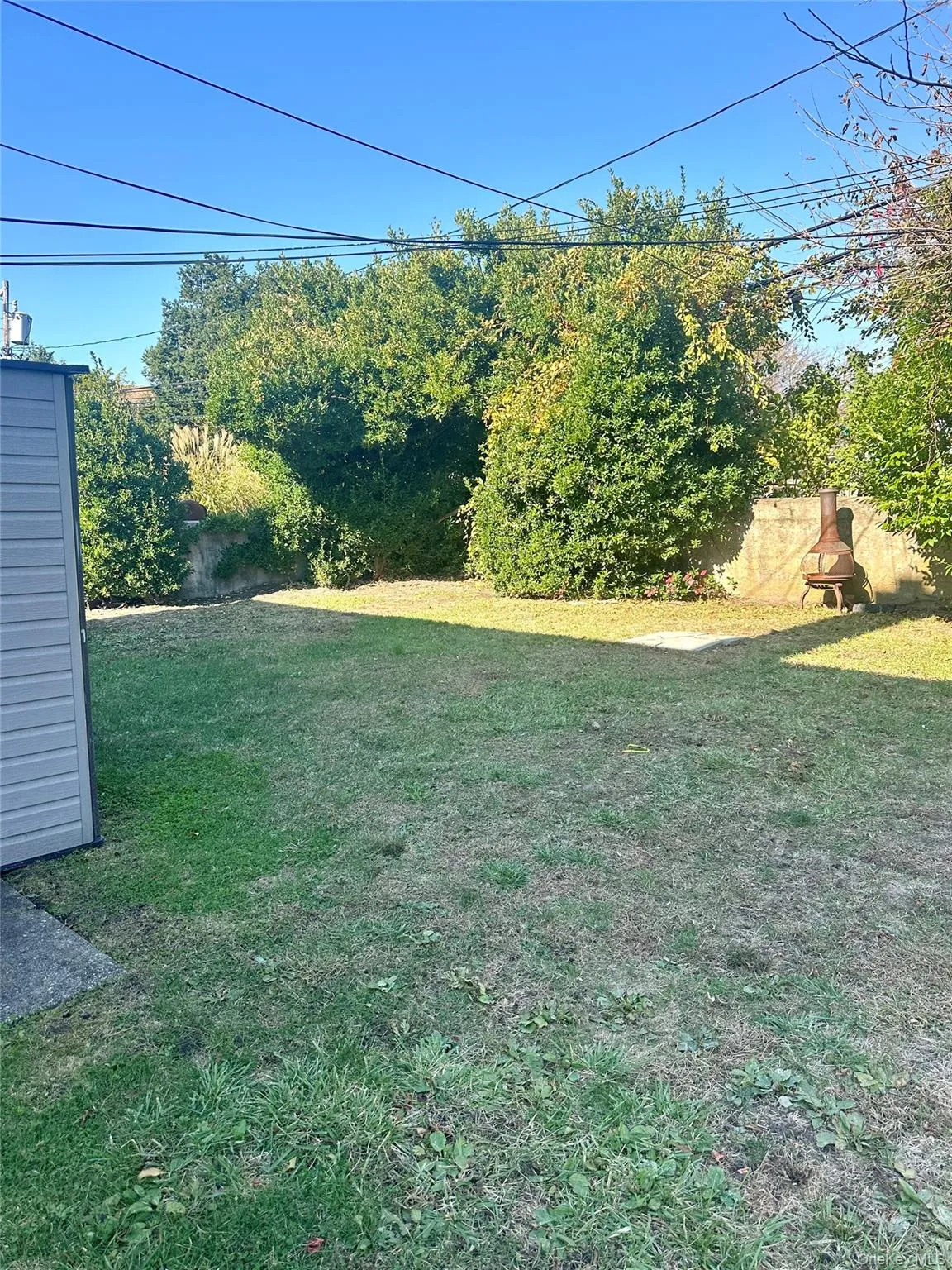 View of green lawn View of green lawn