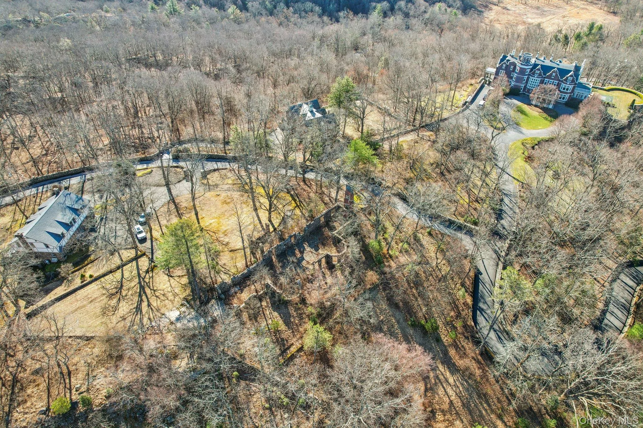 Drone / aerial view of a forest Drone / aerial view of a forest