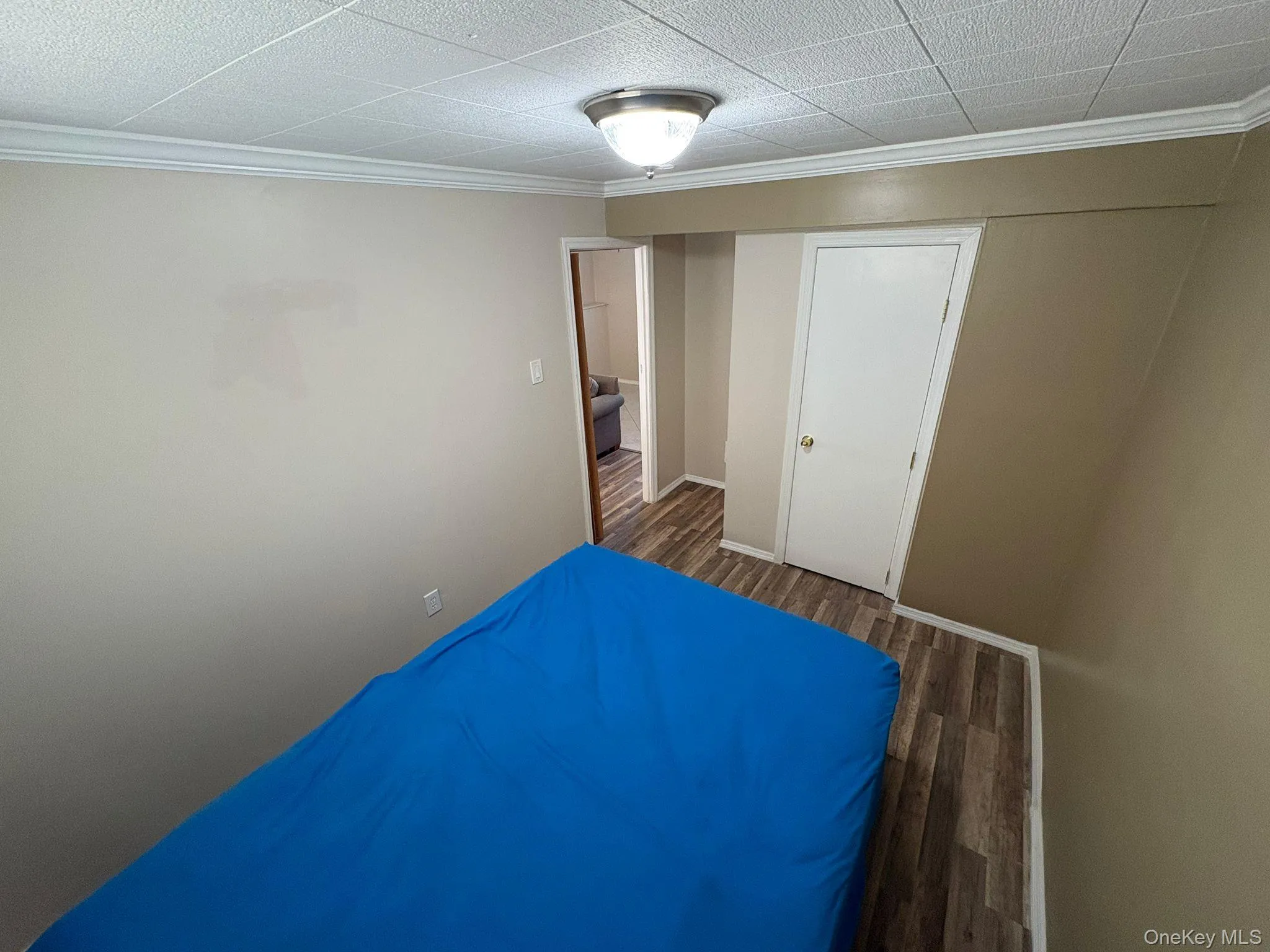 Bedroom featuring crown molding, dark wood-style flooring, and a closet Bedroom featuring crown molding, dark wood-style flooring, and a closet
