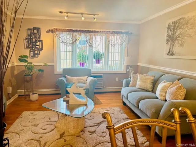 Living room featuring ornamental molding, wood finished floors, a baseboard heating unit, and rail lighting Living room featuring ornamental molding, wood finished floors, a baseboard heating unit, and rail lighting