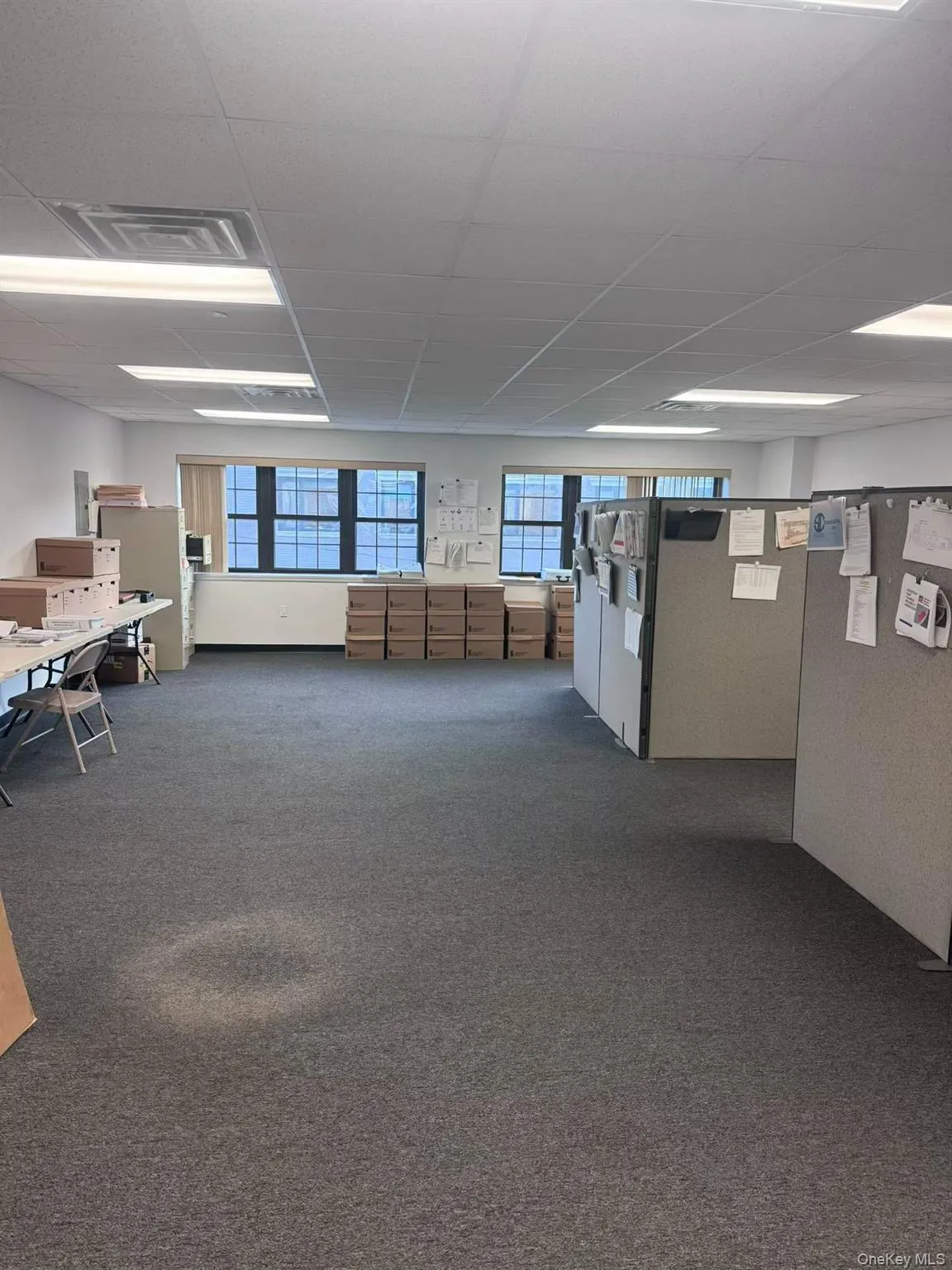 Below grade area featuring a drop ceiling and dark carpet Below grade area featuring a drop ceiling and dark carpet