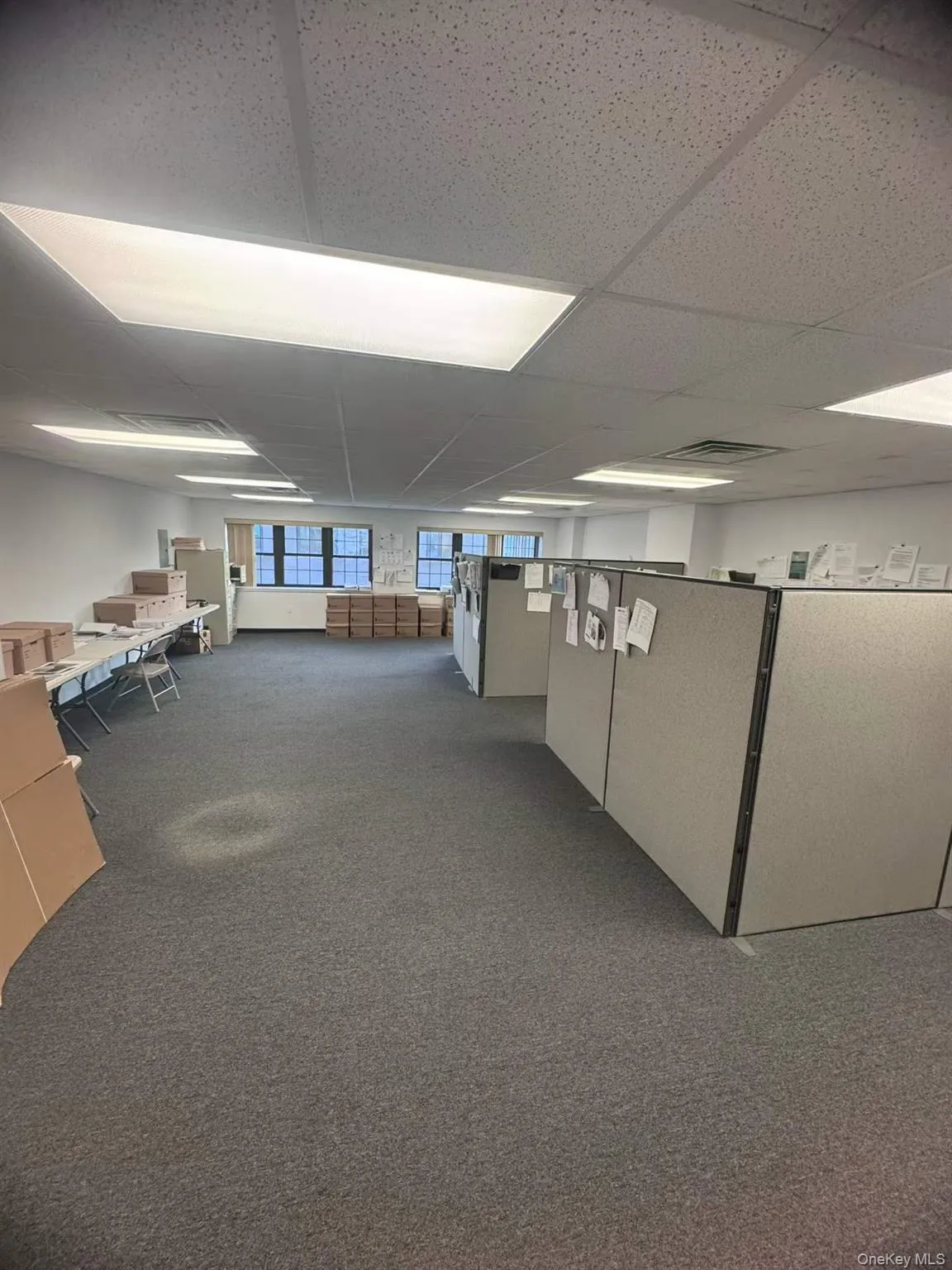 Basement with a paneled ceiling and carpet floors Basement with a paneled ceiling and carpet floors