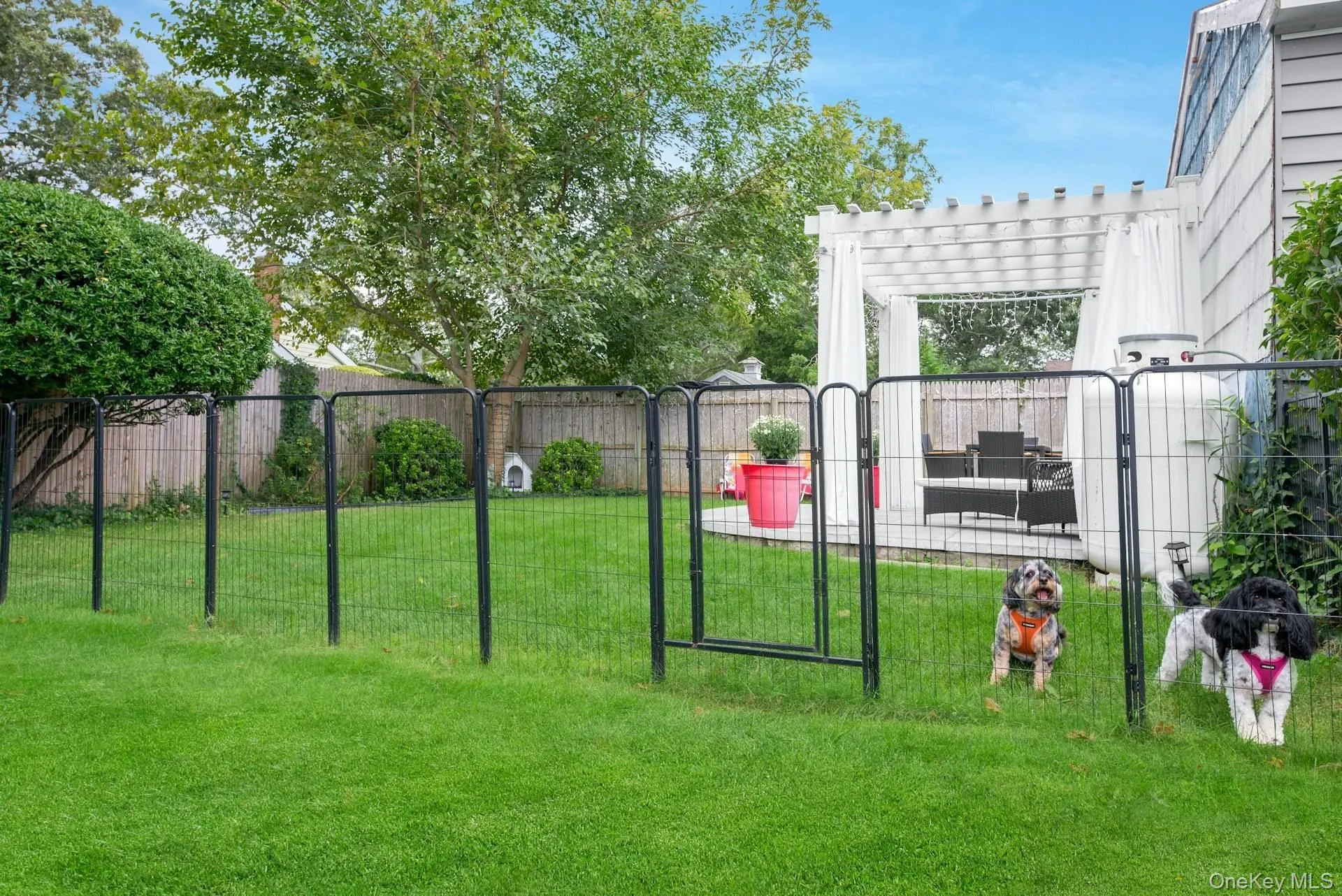 Fenced yard with a pergola and a patio area Fenced yard with a pergola and a patio area