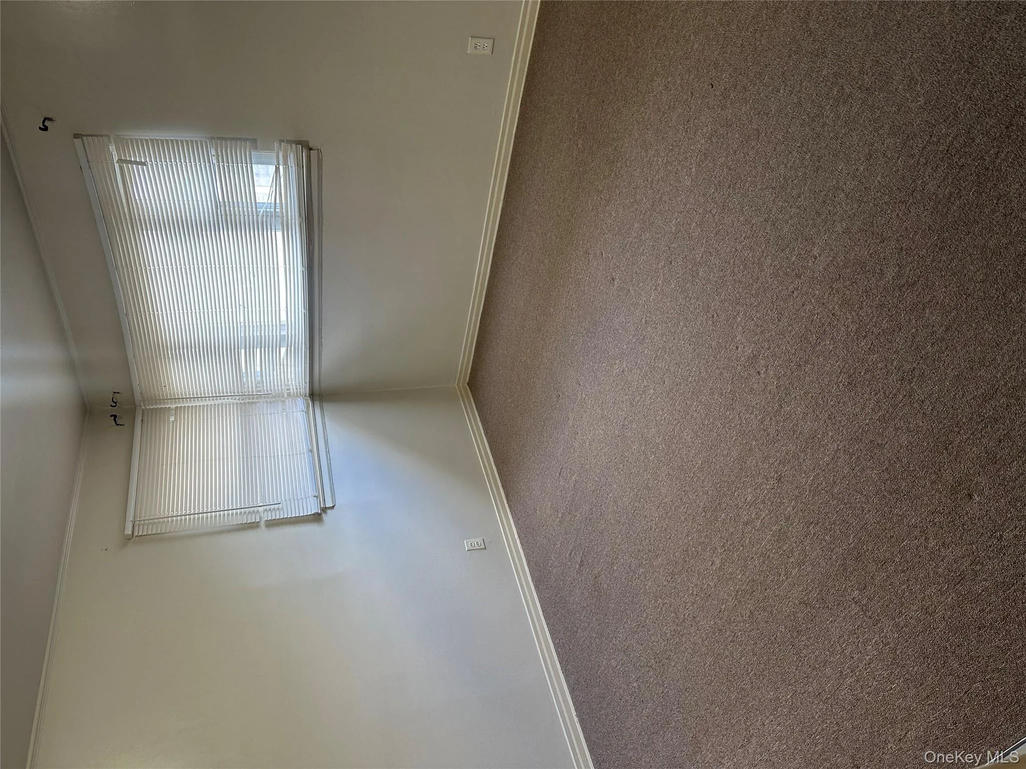 Carpeted spare room with baseboards Carpeted spare room with baseboards