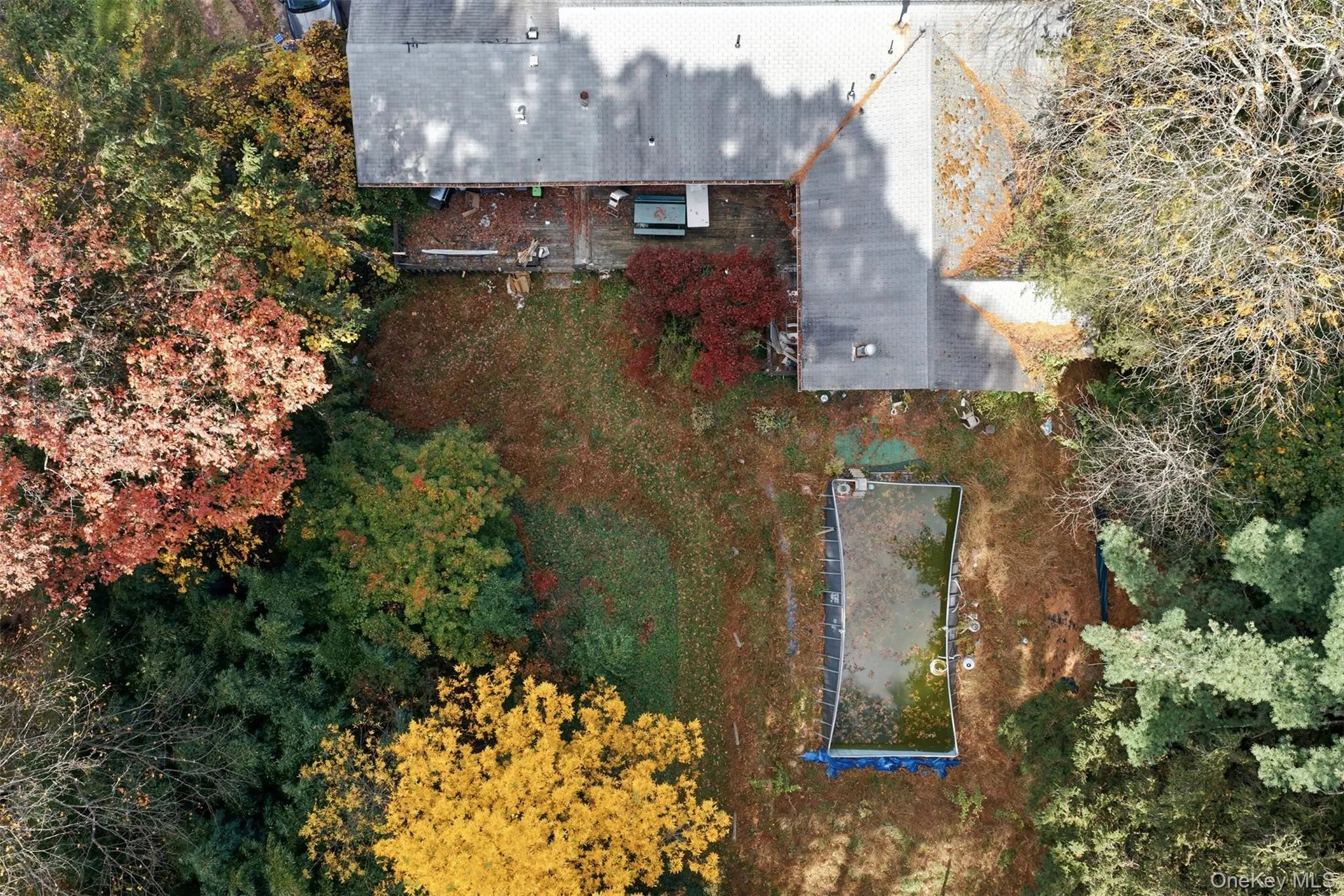 Bird's eye view Bird's eye view
